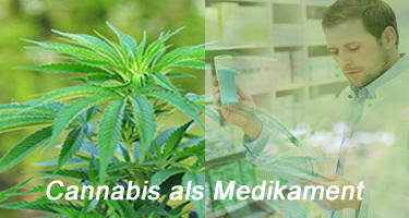 Medikament Cannabis