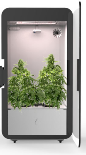 Cannabis Anbau leicht gemacht - Leaf als 