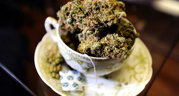 Cannabis Tee - so nicht