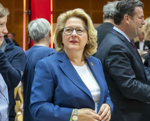 Svenja Schulze, SPD