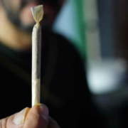 Die Cannabis-Legalisierung in Deutschland: Ein Paradigmenwechsel