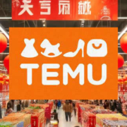 Temu: Der Aufstieg und die Herausforderungen eines E-Commerce-Giganten