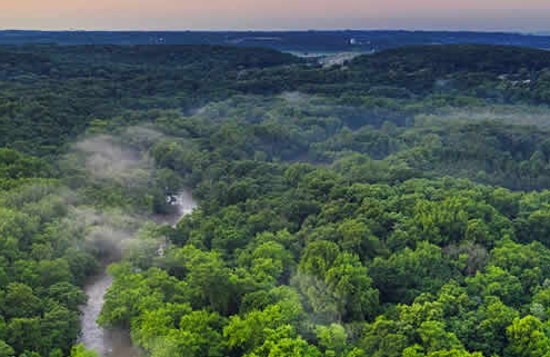 Der Amazonas: Ein globales Ökosystem von unschätzbarem Wert