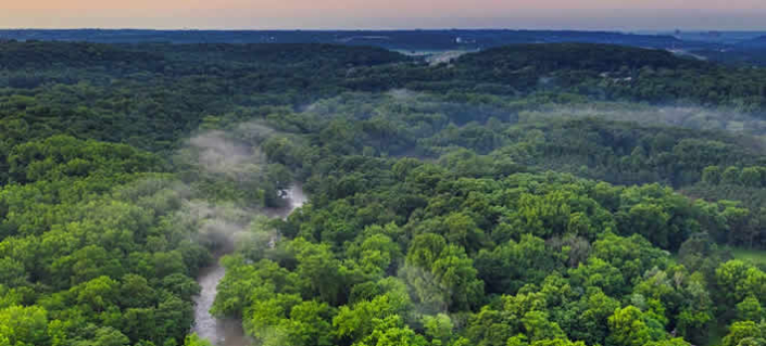 Der Amazonas: Ein globales Ökosystem von unschätzbarem Wert