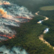 Rekordverdächtige Waldbrände im Amazonas