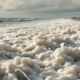 PFAS: Die unsichtbare Gefahr in Umwelt und Alltag