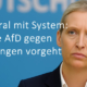 Doppelmoral mit System: Wie die AfD gegen Beleidigungen vorgeht – und dabei ein Gesetz nutzt, das sie abschaffen will