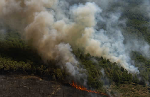 Rekordemissionen durch Waldbrände: Europas Sommer in Flammen Rekordemissionen durch Waldbrände: Europas Sommer in Flammen