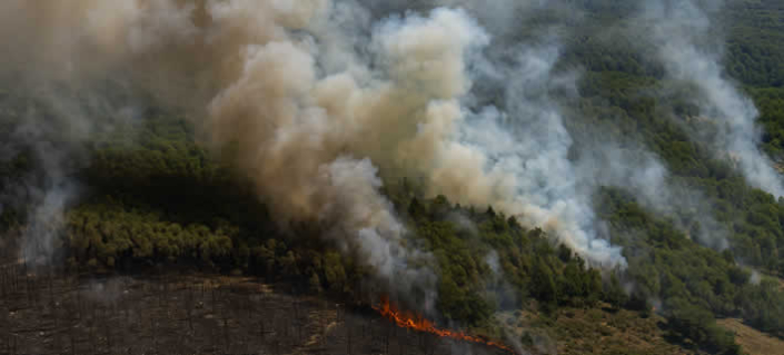 Rekordemissionen Rekordemissionen durch Waldbrände: Europas Sommer in Flammen
